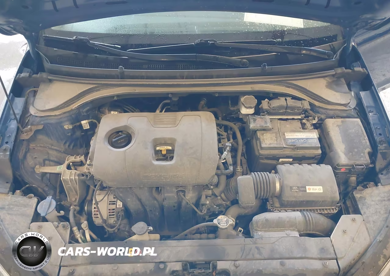 2019 Hyundai Elantra Se VIN:5NPD74LF9KH494630 - 10