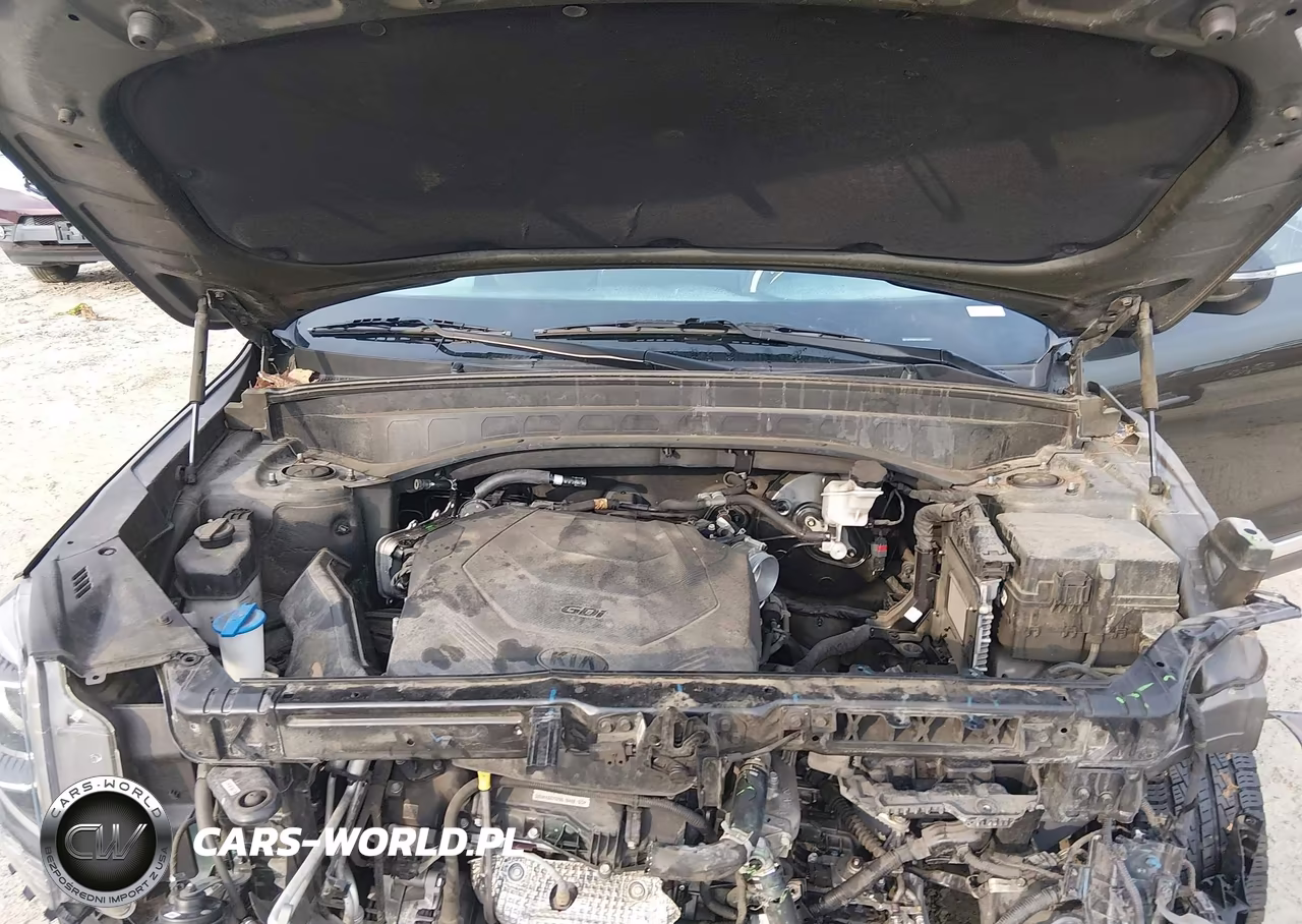 2020 Kia Telluride Ex VIN:5XYP34HCXLG087223 - 10