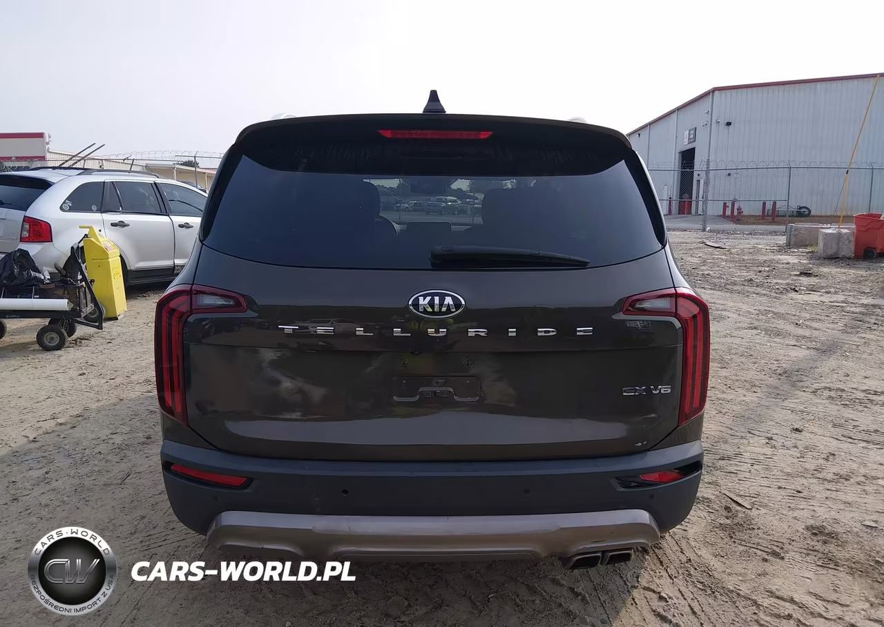 2020 Kia Telluride Ex VIN:5XYP34HCXLG087223 - 17