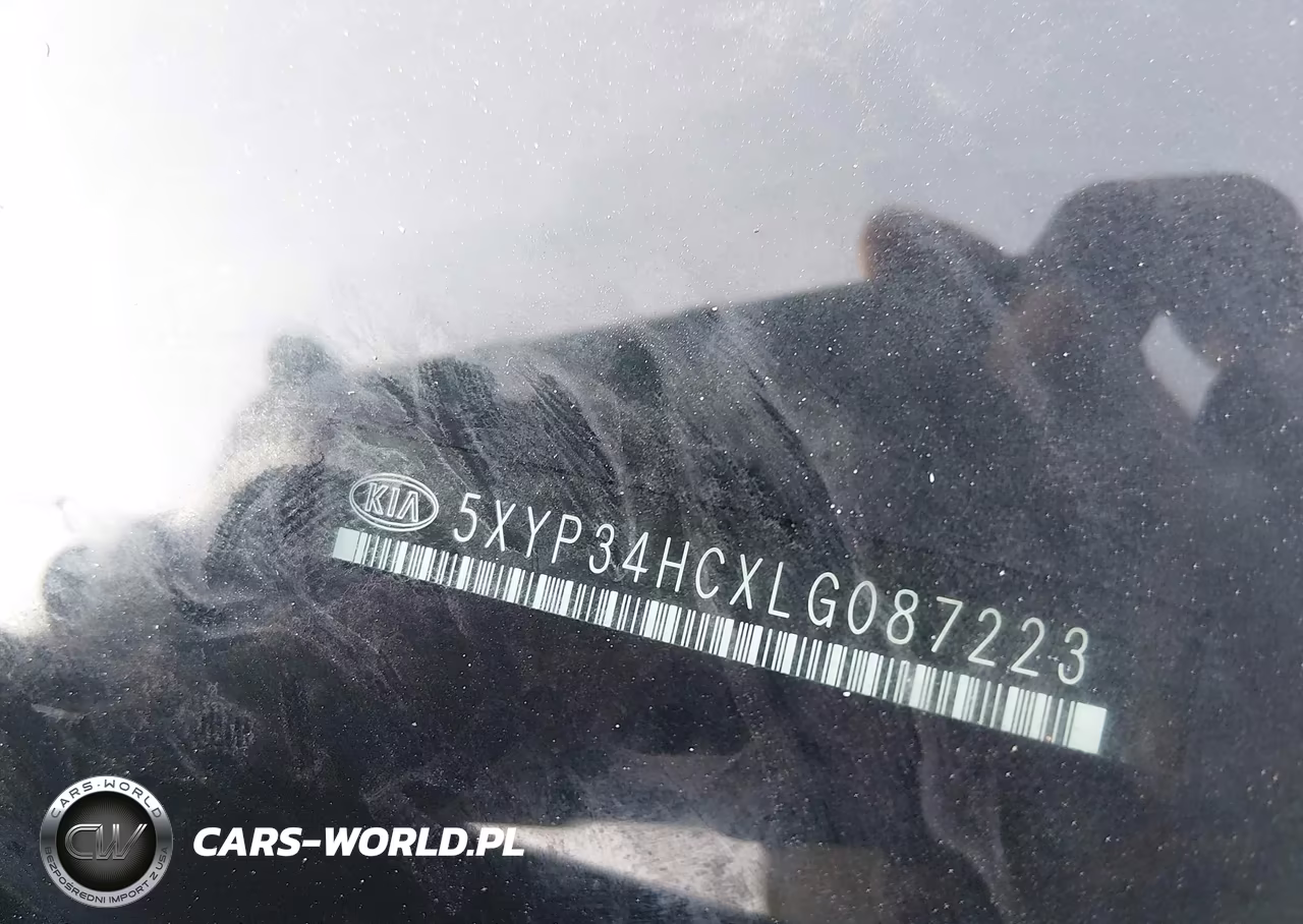 2020 Kia Telluride Ex VIN:5XYP34HCXLG087223 - 18