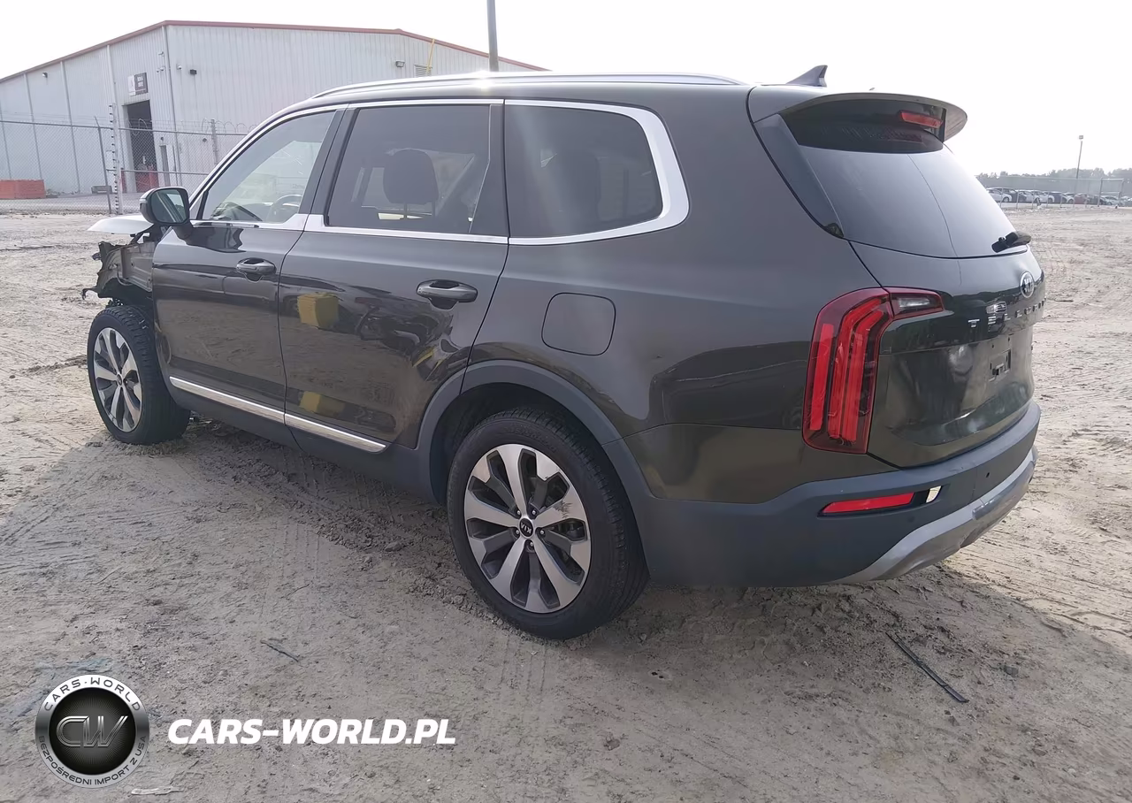2020 Kia Telluride Ex VIN:5XYP34HCXLG087223 - 3