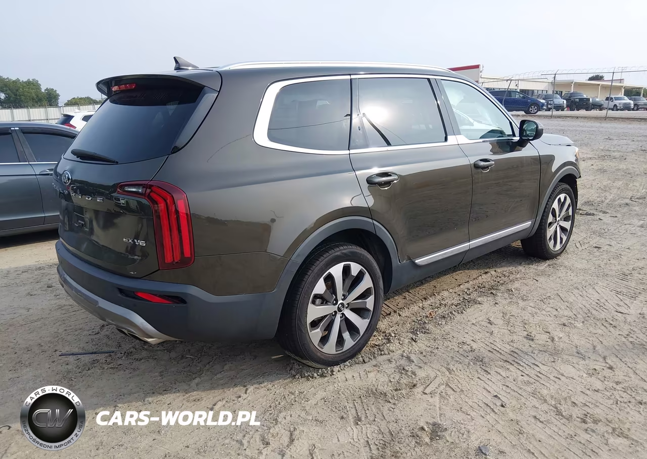 2020 Kia Telluride Ex VIN:5XYP34HCXLG087223 - 4