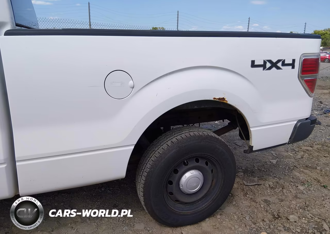 2010 Ford F-150 Stx-Xl-Xl W-Mid-Box Prep-Xlt-Xlt W-Mid-Box Prep VIN:1FTMF1EW2AKA82497 - 6
