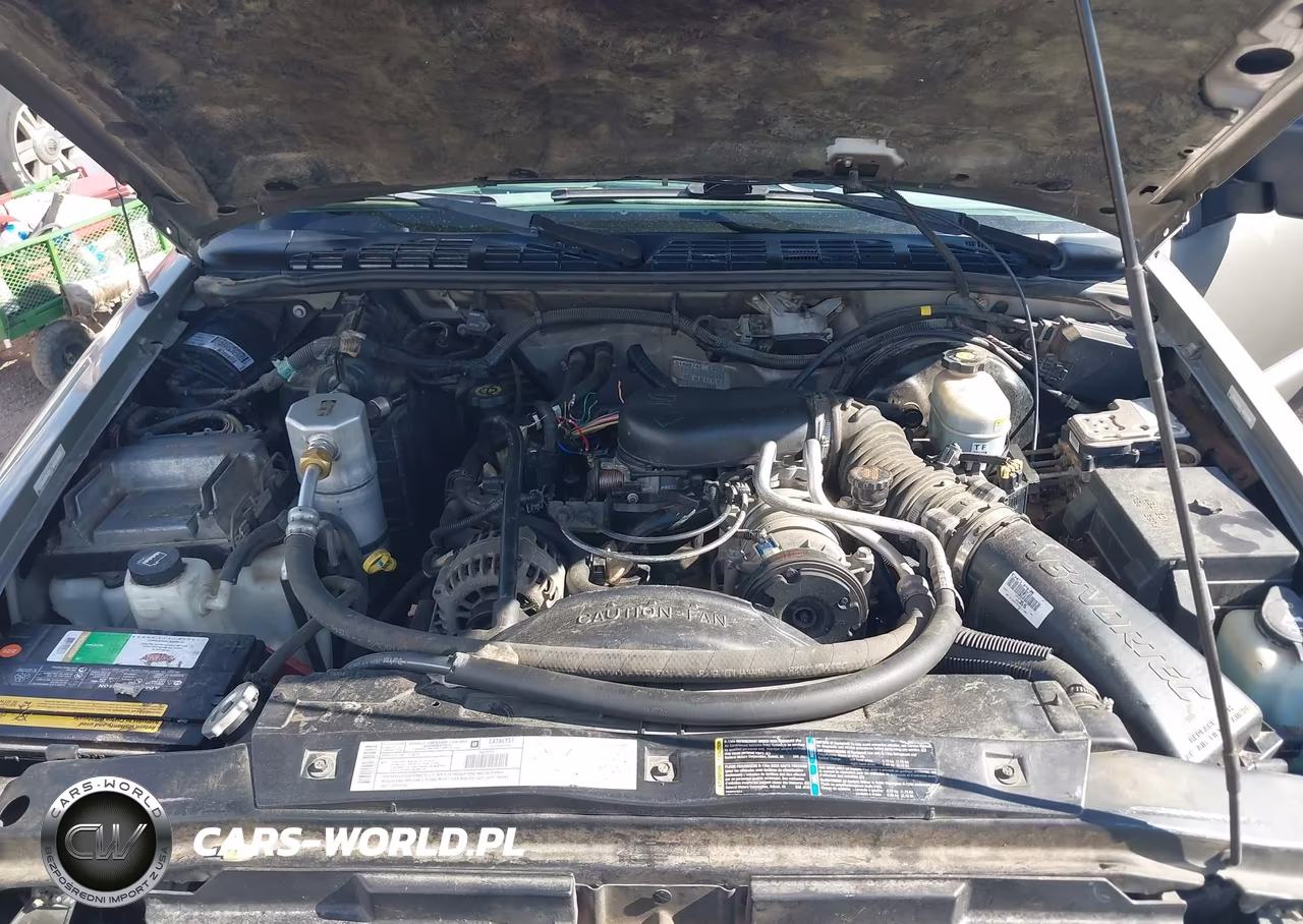 2002 Chevrolet S-10 Ls VIN:1GCCS19W328206728 - 10
