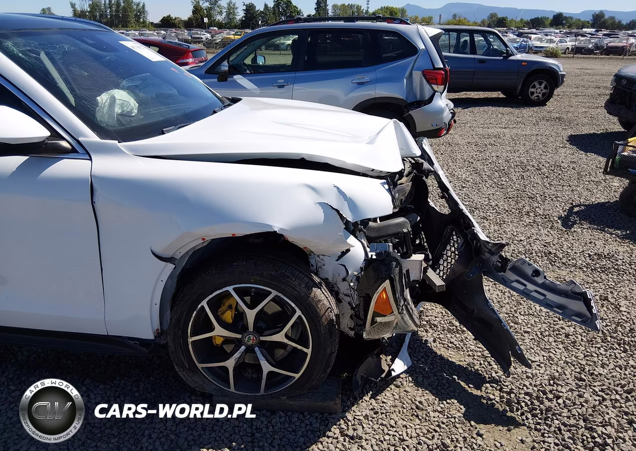2019 Alfa Romeo Stelvio Ti Awd VIN:ZASPAKBN3K7C39060 - 19
