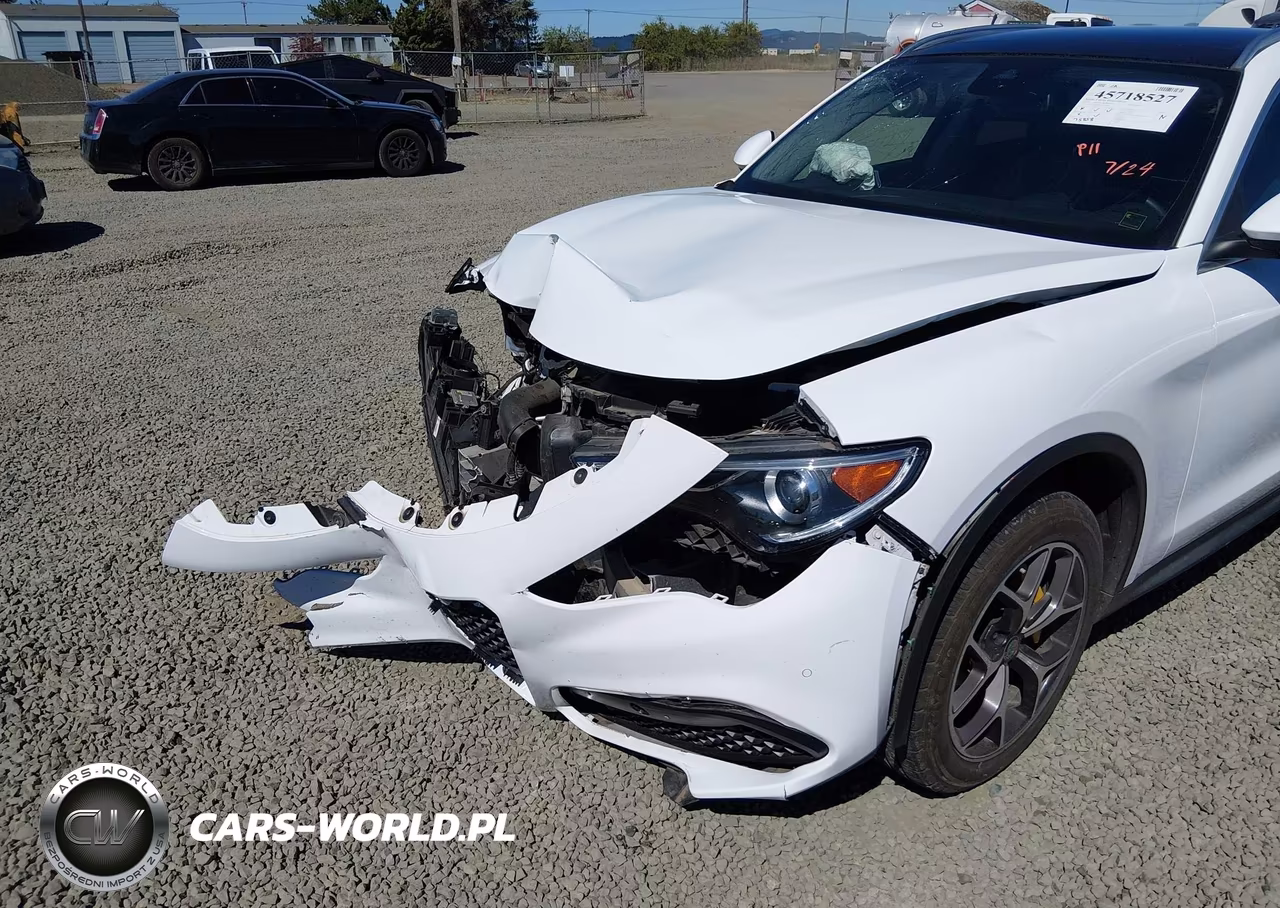 2019 Alfa Romeo Stelvio Ti Awd VIN:ZASPAKBN3K7C39060 - 20