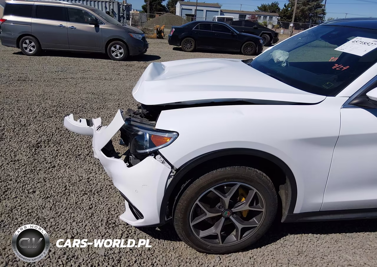 2019 Alfa Romeo Stelvio Ti Awd VIN:ZASPAKBN3K7C39060 - 21