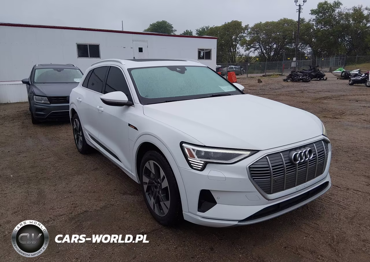 2021 Audi E-Tron Premium Quattro – zdjęcie 1 z 18