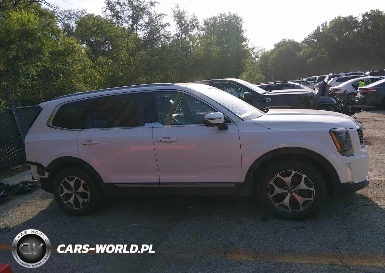 2020 Kia Telluride Ex VIN:5XYP34HC9LG077086 - 14
