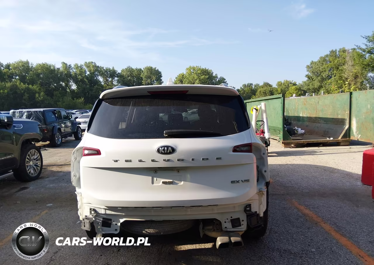 2020 Kia Telluride Ex VIN:5XYP34HC9LG077086 - 17