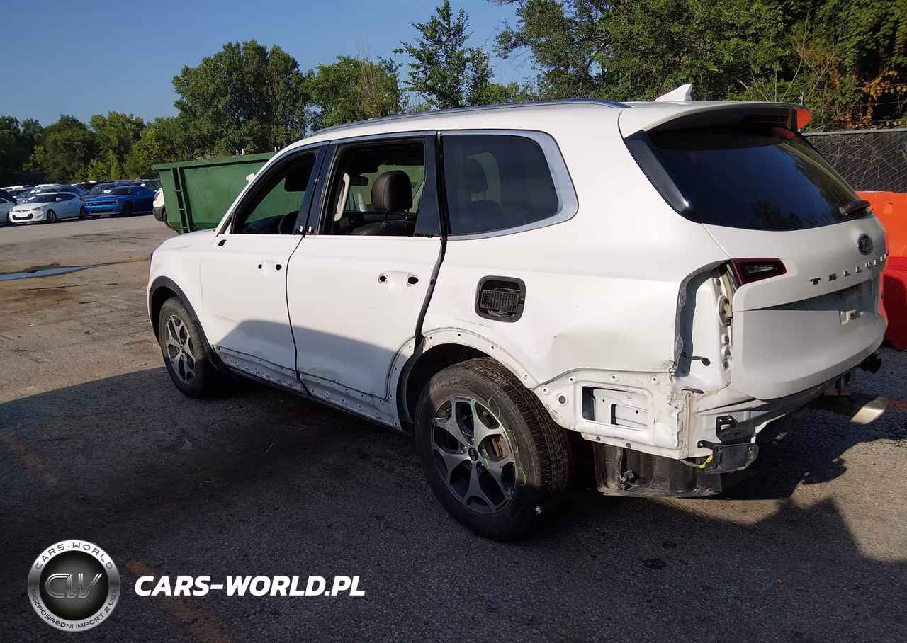 2020 Kia Telluride Ex VIN:5XYP34HC9LG077086 - 18