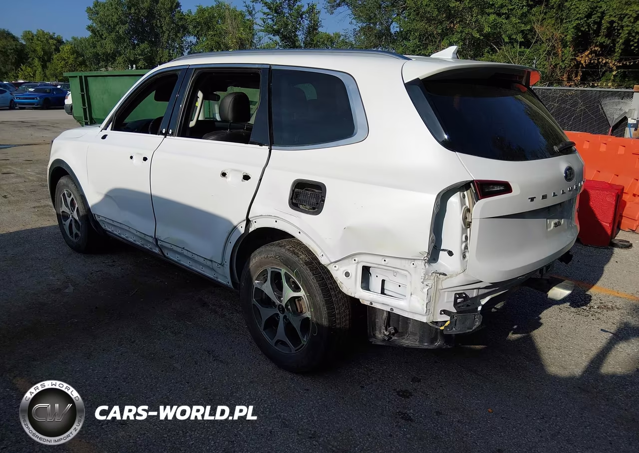 2020 Kia Telluride Ex VIN:5XYP34HC9LG077086 - 3