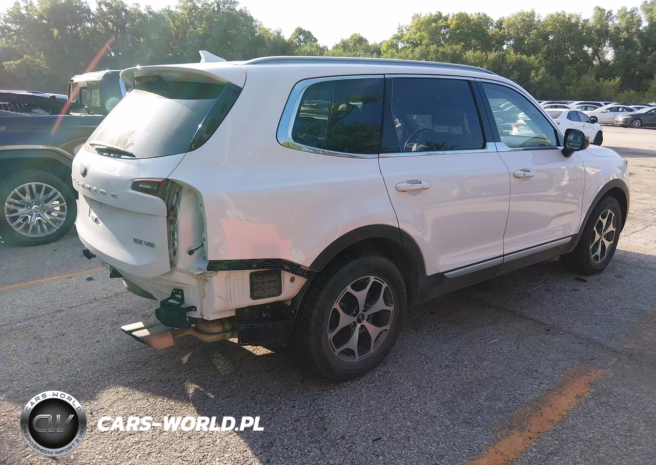 2020 Kia Telluride Ex VIN:5XYP34HC9LG077086 - 4
