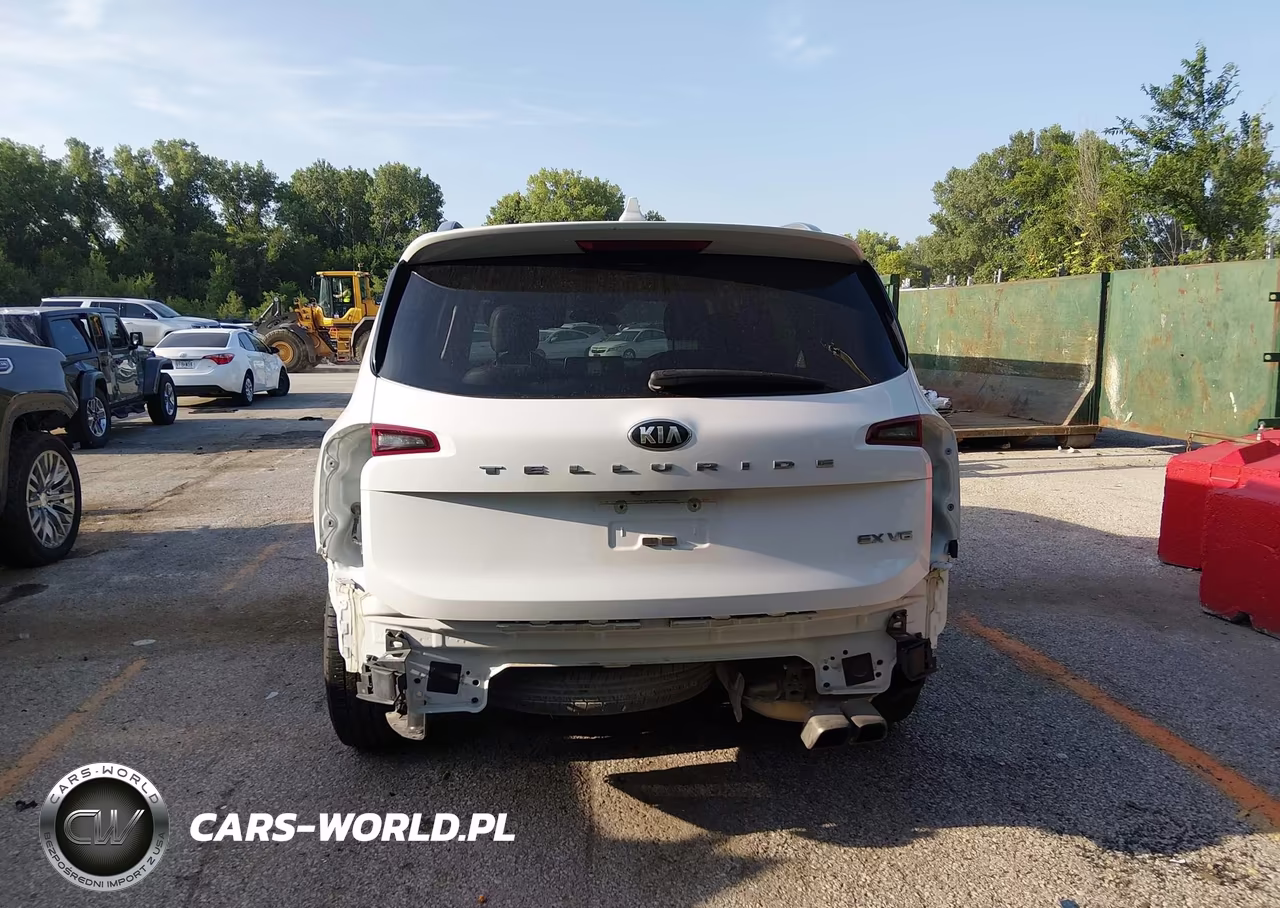 2020 Kia Telluride Ex VIN:5XYP34HC9LG077086 - 6