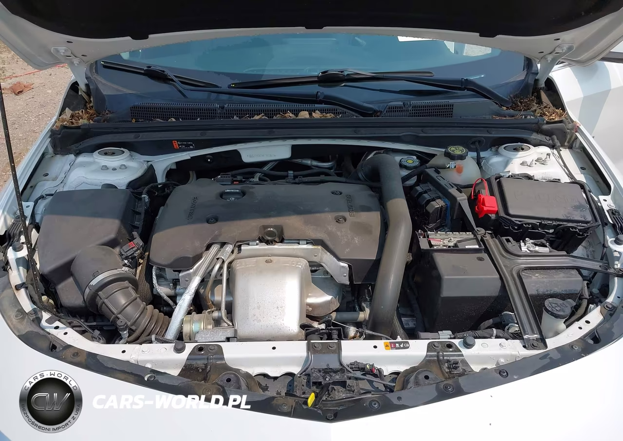 2019 Chevrolet Malibu Premier VIN:1G1ZE5SX3KF151861 - 10