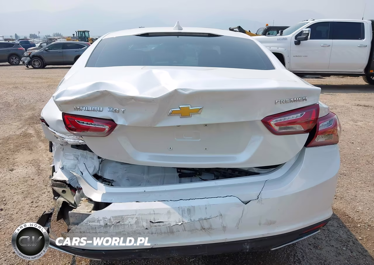 2019 Chevrolet Malibu Premier VIN:1G1ZE5SX3KF151861 - 17