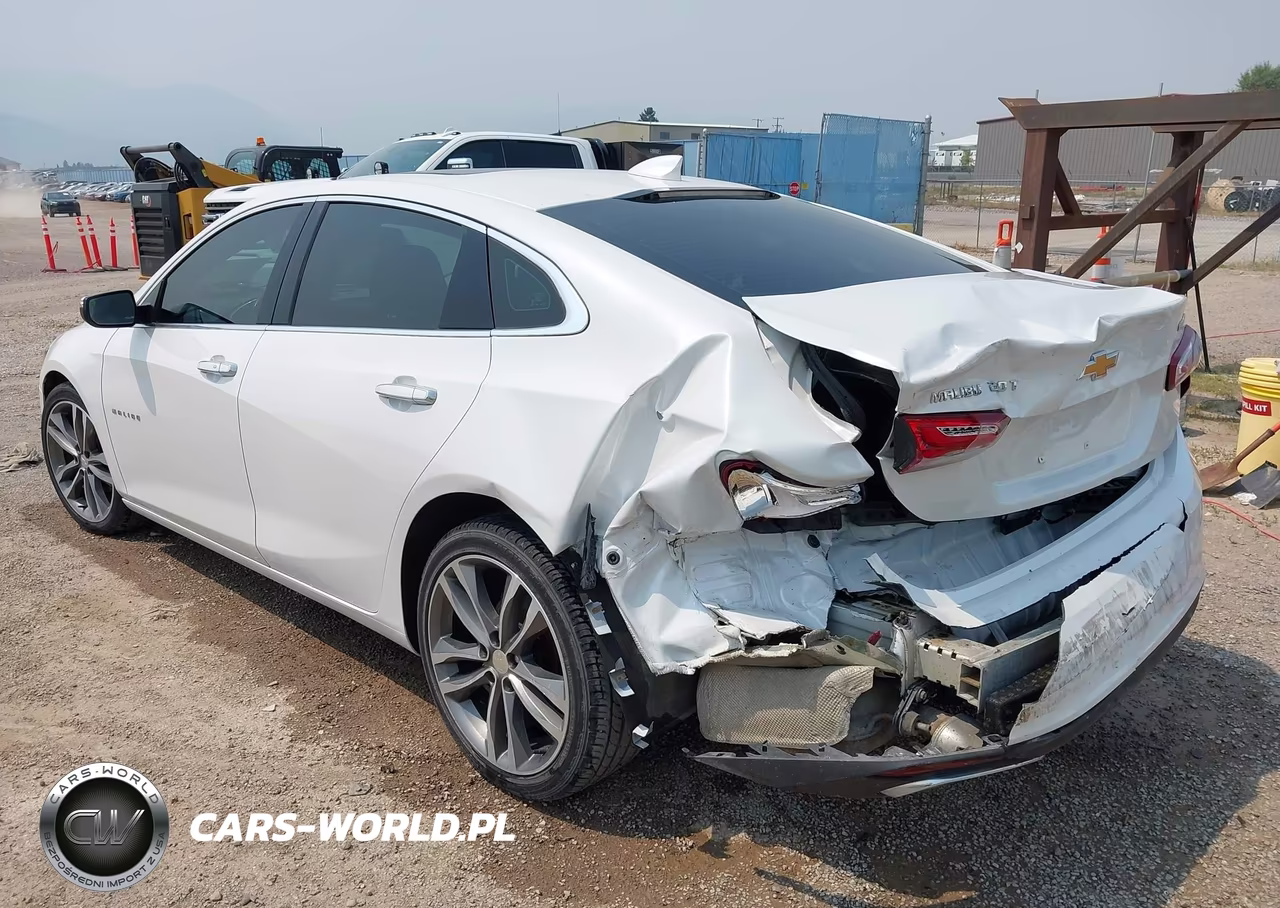 2019 Chevrolet Malibu Premier VIN:1G1ZE5SX3KF151861 - 3