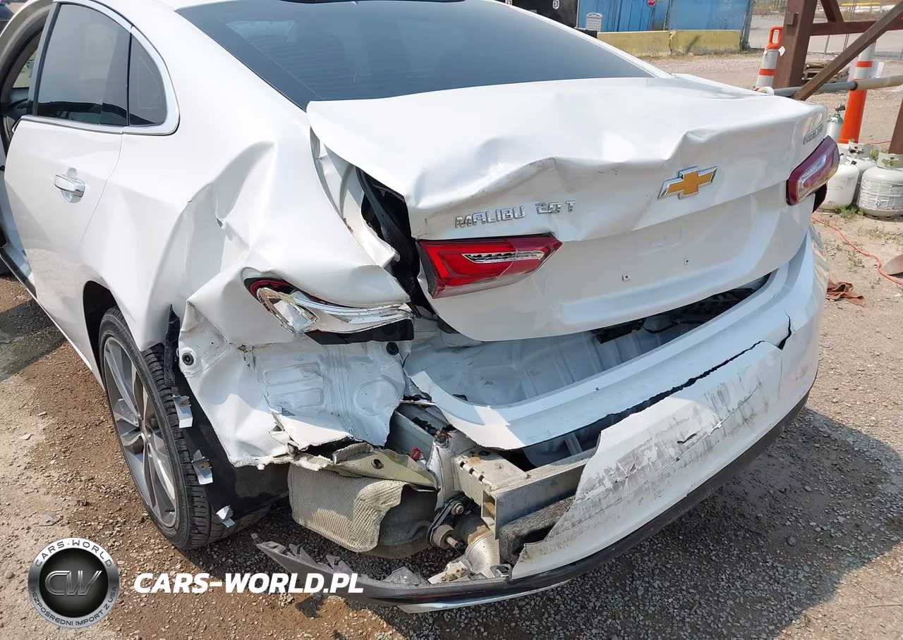 2019 Chevrolet Malibu Premier VIN:1G1ZE5SX3KF151861 - 6