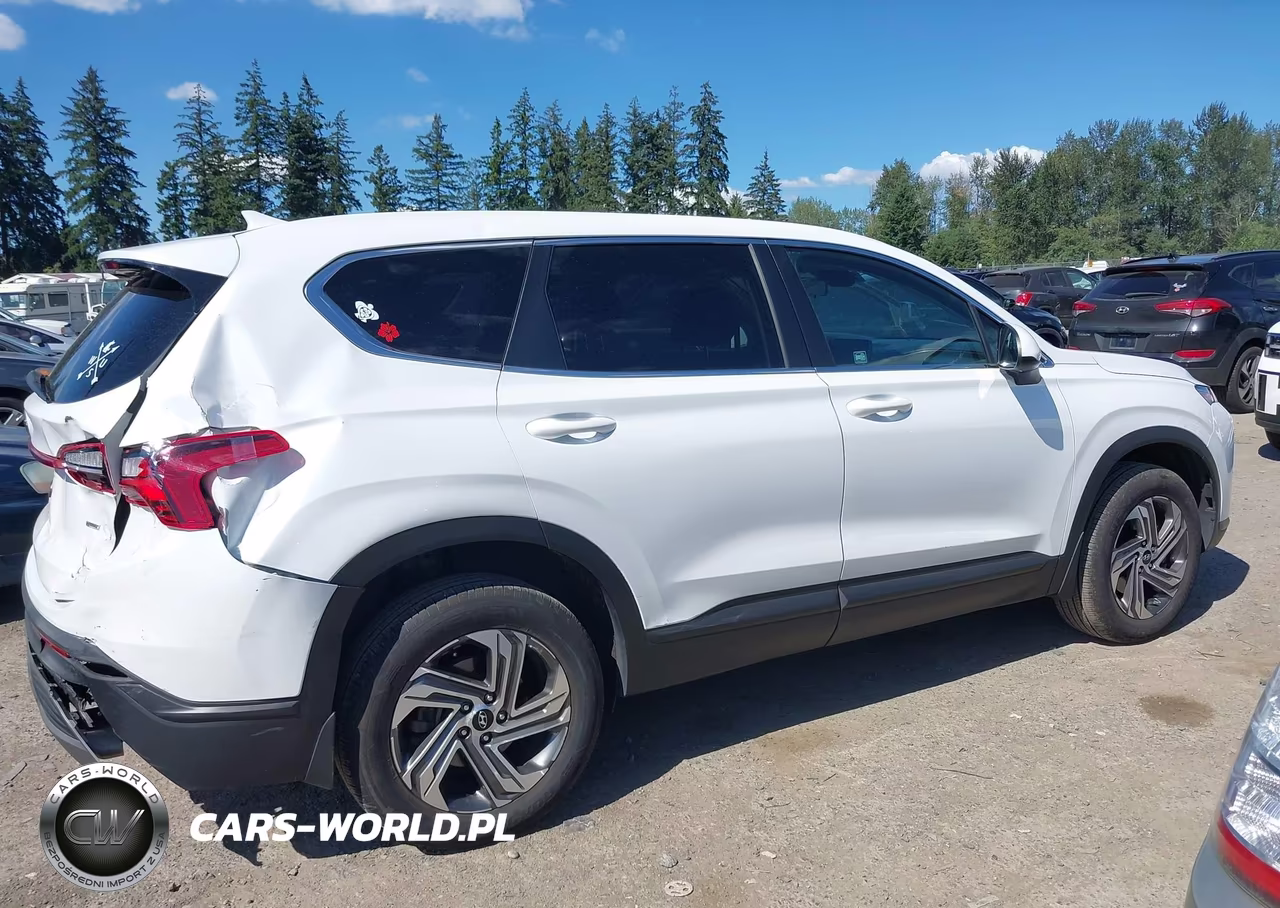 2021 Hyundai Santa Fe Se VIN:5NMS1DAJ4MH370586 - 13