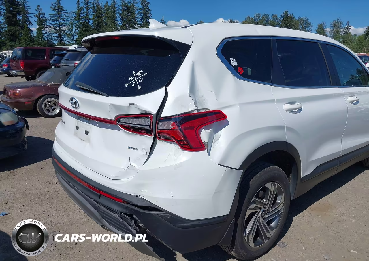 2021 Hyundai Santa Fe Se VIN:5NMS1DAJ4MH370586 - 6