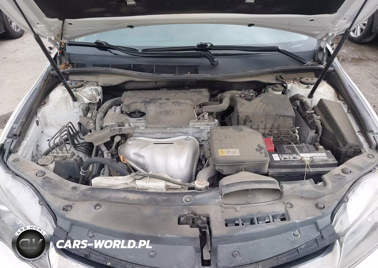 2017 Toyota Camry Xse VIN:4T1BF1FK9HU732410 - 10