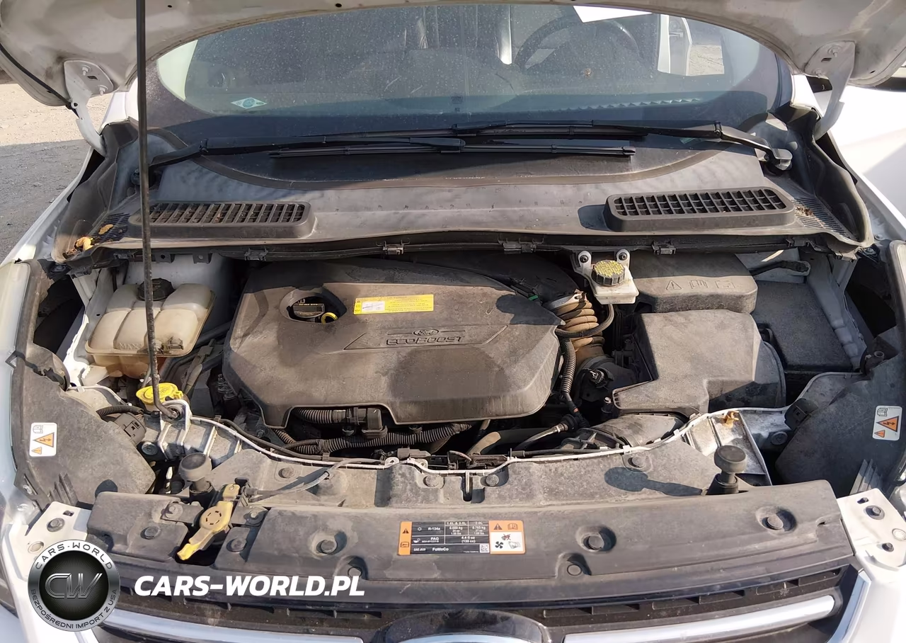 2016 Ford Escape Titanium VIN:1FMCU0JX1GUA08829 - 10