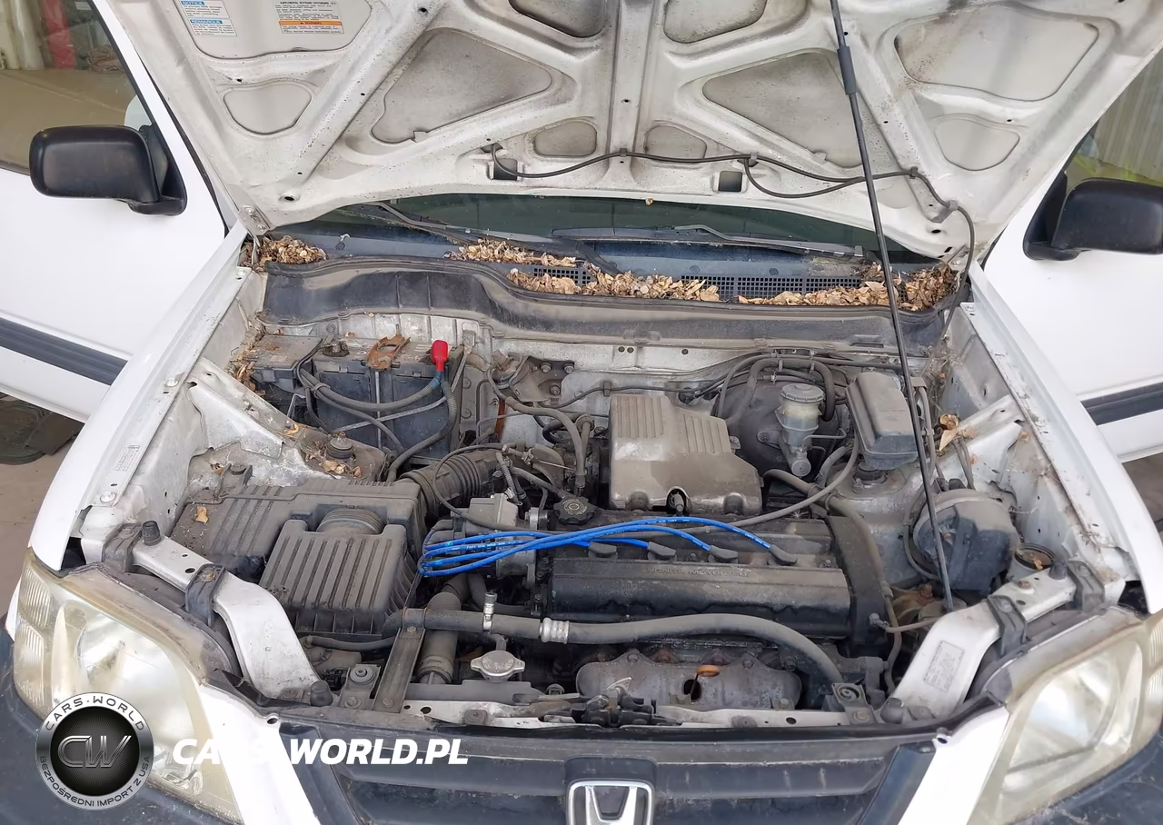 1999 Honda Cr-V Lx VIN:JHLRD1740XC004703 - 10