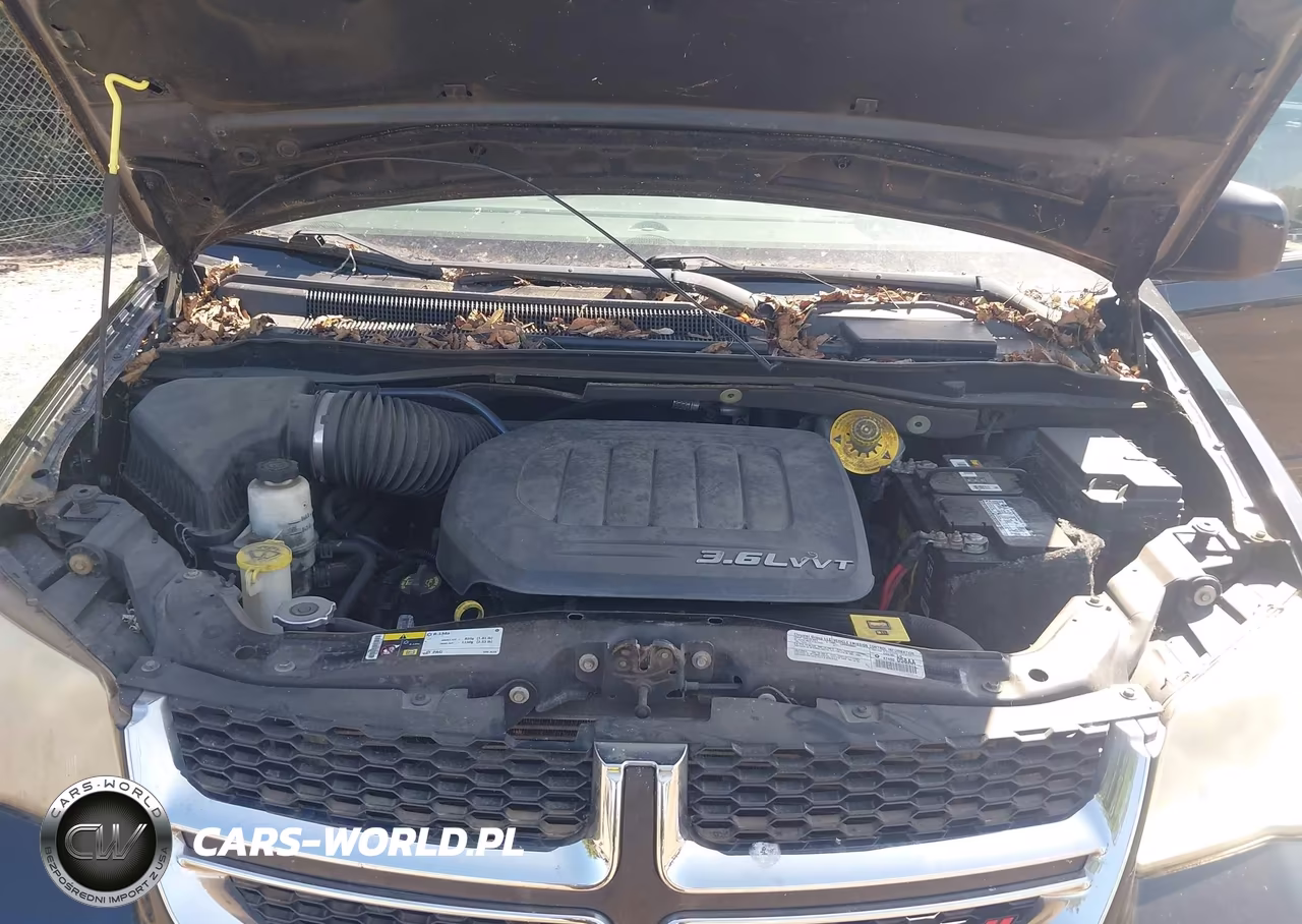 2014 Dodge Grand Caravan Sxt VIN:2C4RDGCG5ER245466 - 10