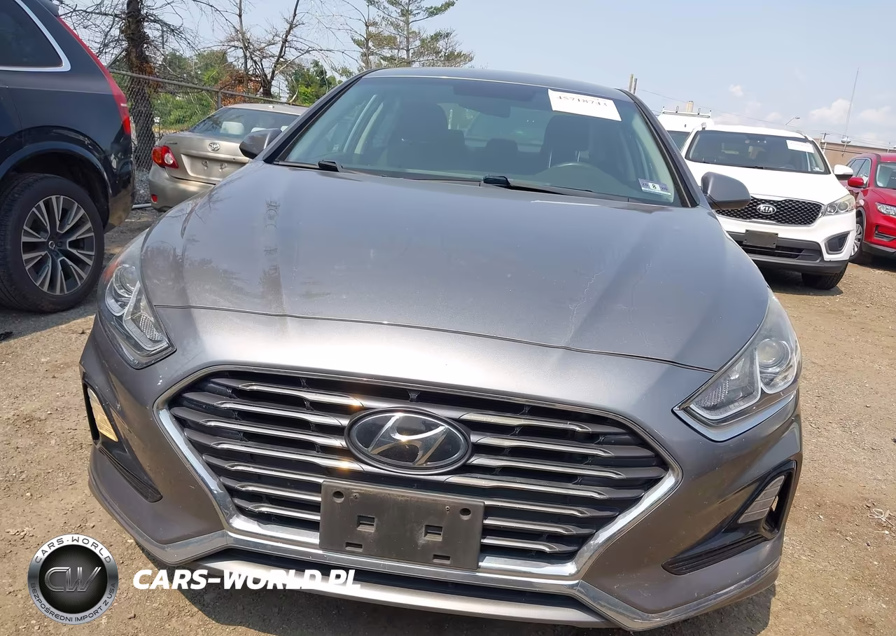 2019 Hyundai Sonata Se VIN:5NPE24AF7KH761396 - 12