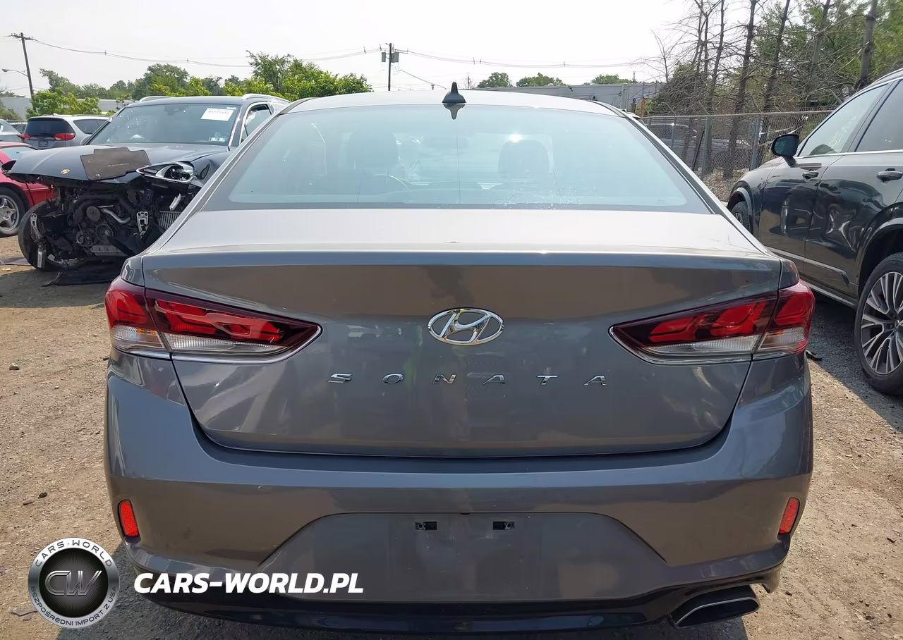 2019 Hyundai Sonata Se VIN:5NPE24AF7KH761396 - 16