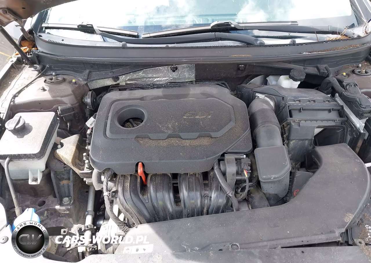 2016 Hyundai Sonata Se VIN:5NPE24AF6GH281924 - 10