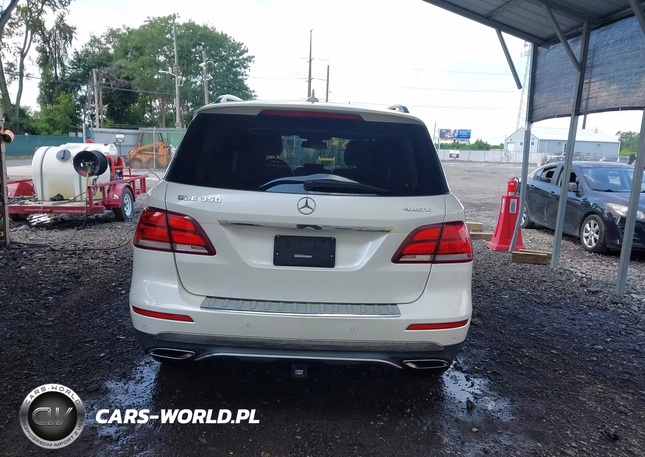 2017 Mercedes-Benz Gle 350 4Matic VIN:4JGDA5HB9HA846209 - 16