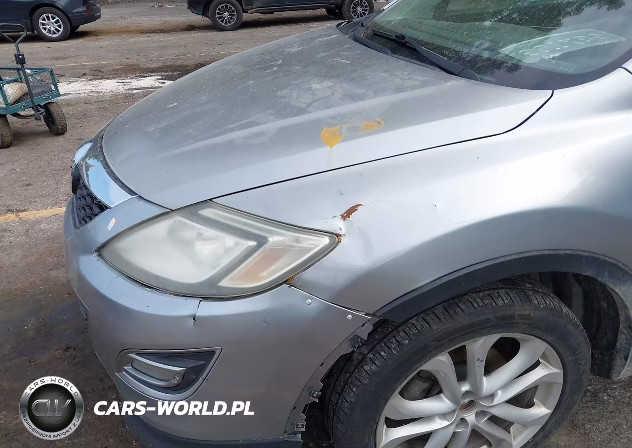 2011 Mazda Cx-9 Grand Touring VIN:JM3TB2DA9B0322278 - 12
