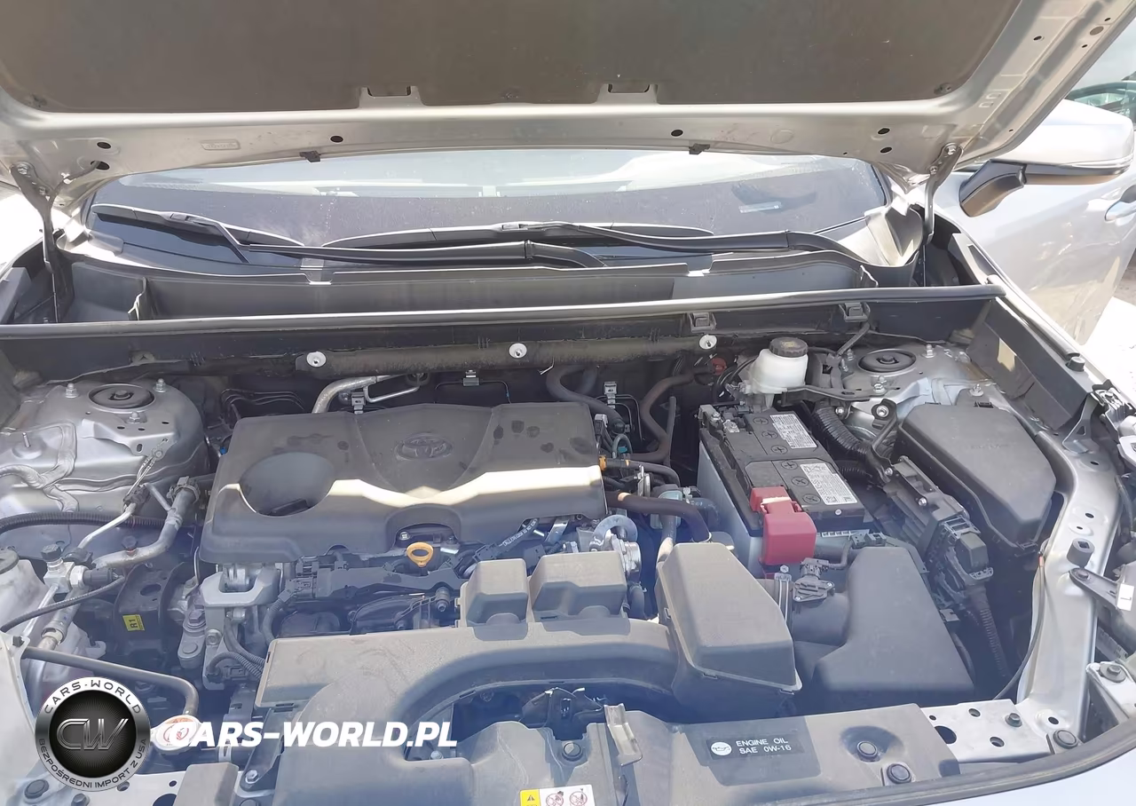 2024 Toyota Rav4 Xle VIN:2T3W1RFV1RW318863 - 10