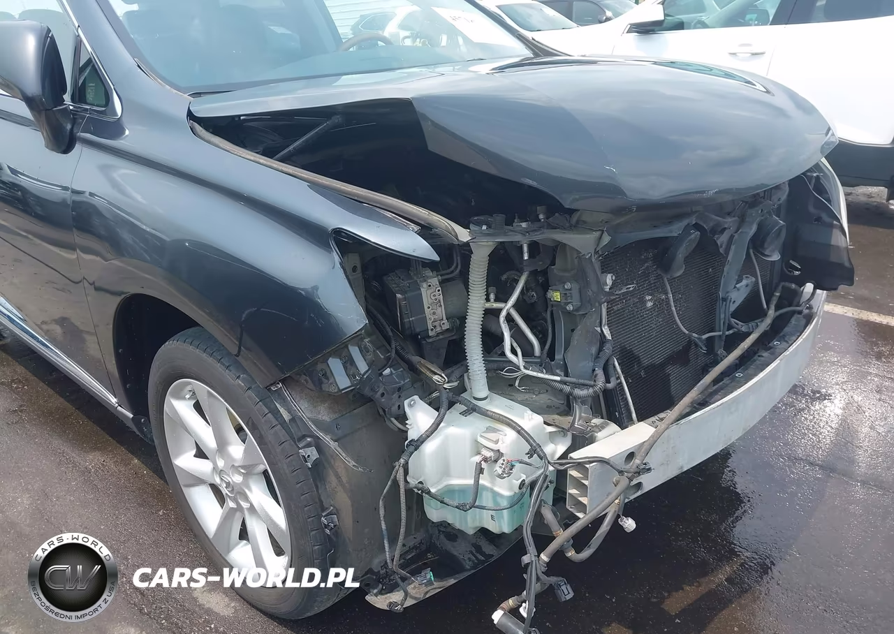 2010 Lexus Rx 350 VIN:JTJZK1BA1A2410676 - 22