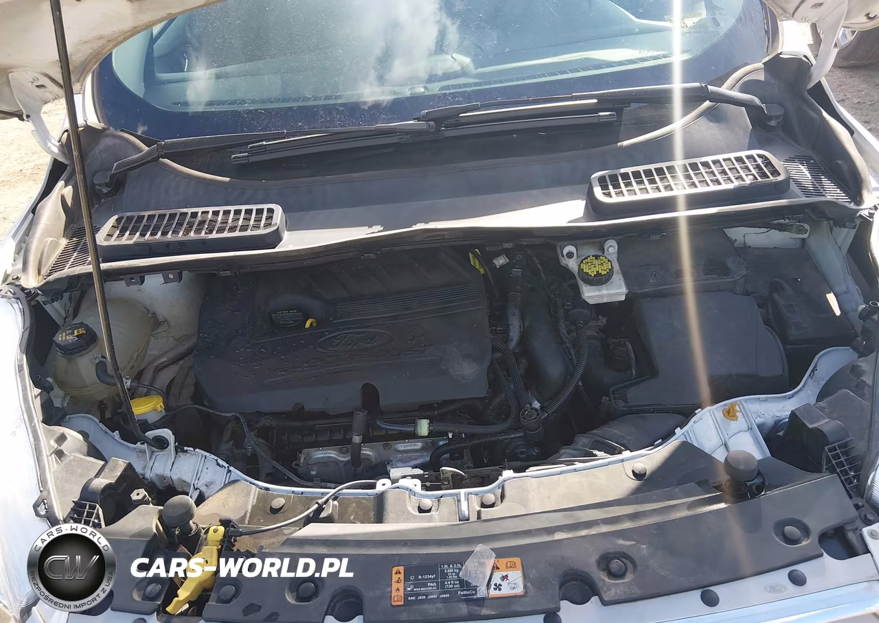 2017 Ford Escape Se VIN:1FMCU9GDXHUD43316 - 10