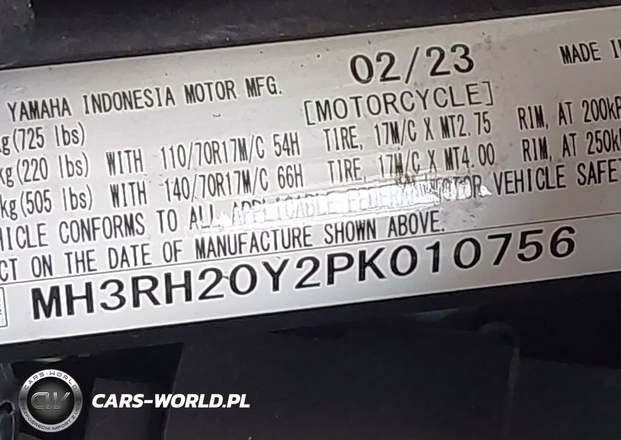 2023 Yamaha Mt-03 VIN:MH3RH20Y2PK010756 - 10