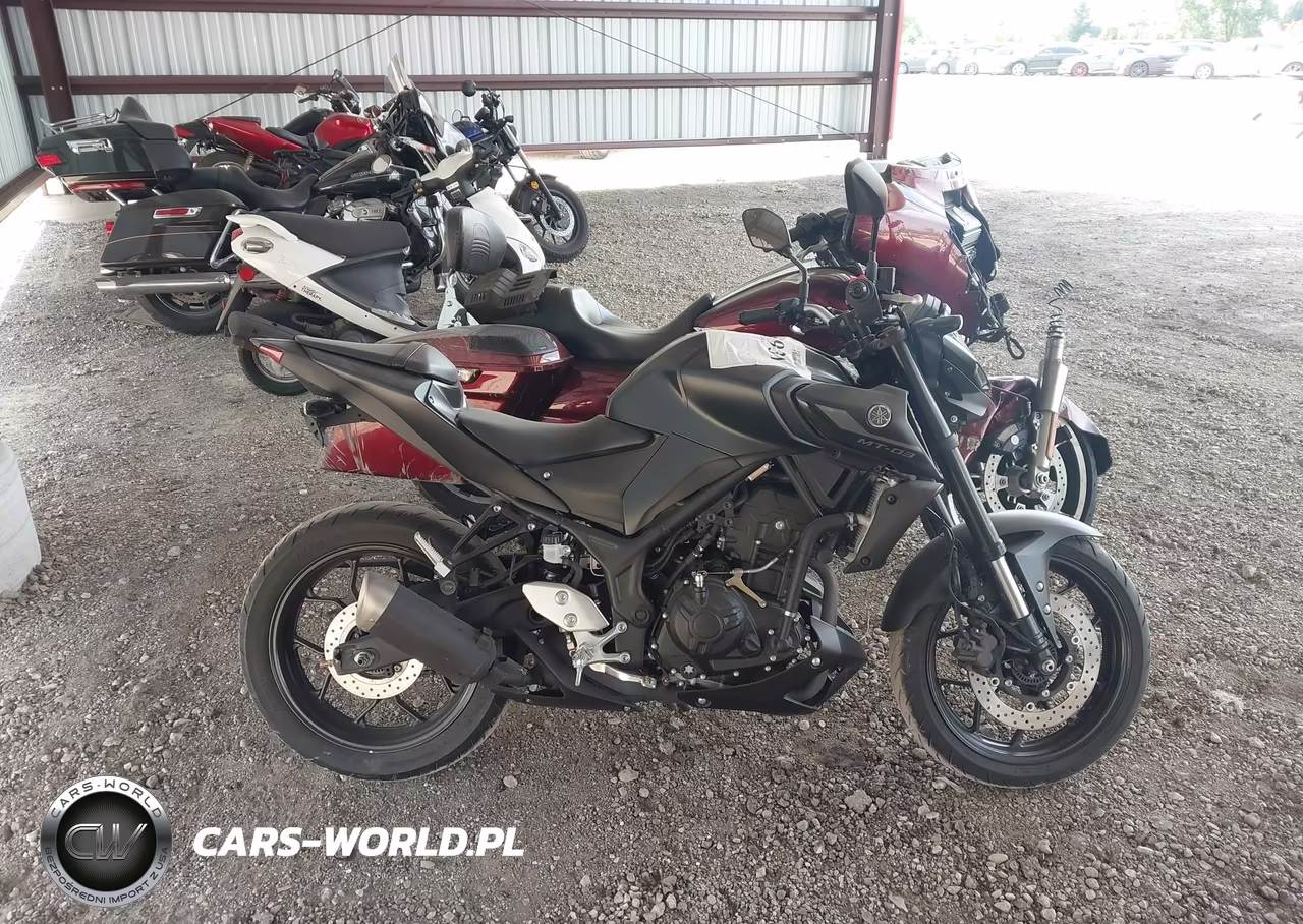 2023 Yamaha Mt-03 VIN:MH3RH20Y2PK010756 - 12