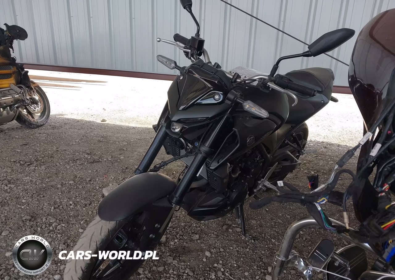 2023 Yamaha Mt-03 VIN:MH3RH20Y2PK010756 - 2