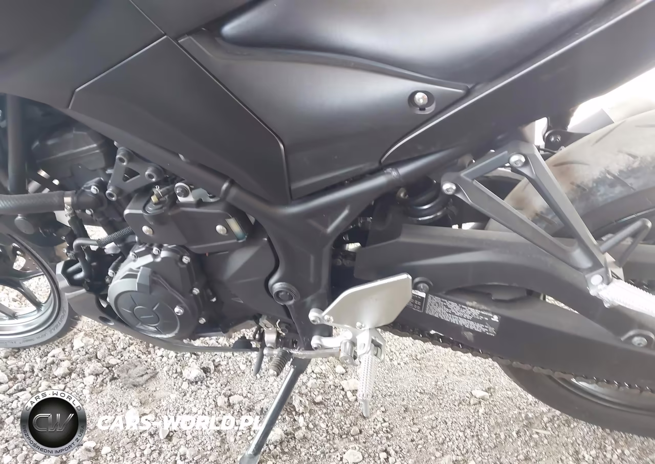 2023 Yamaha Mt-03 VIN:MH3RH20Y2PK010756 - 9