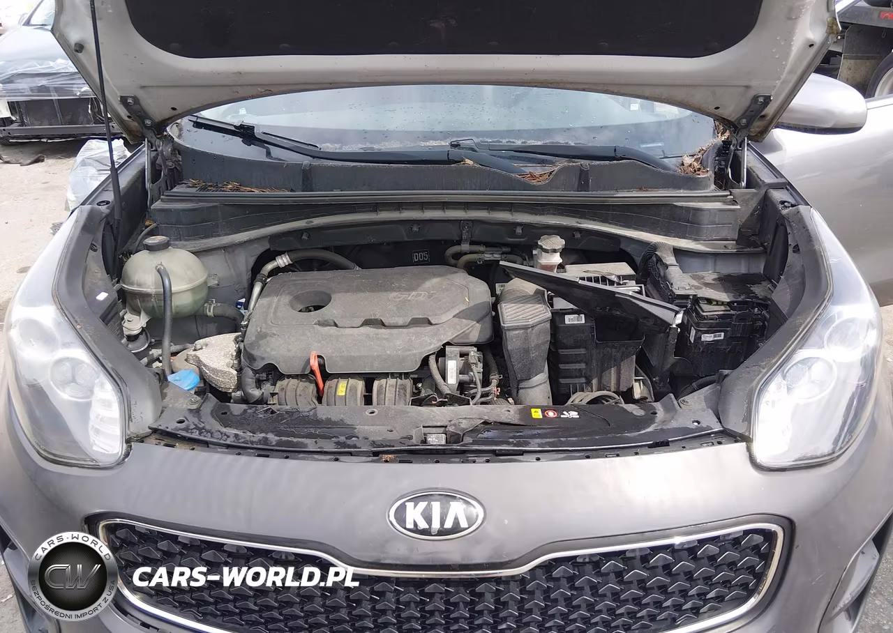2017 Kia Sportage Lx VIN:KNDPM3AC4H7211301 - 10