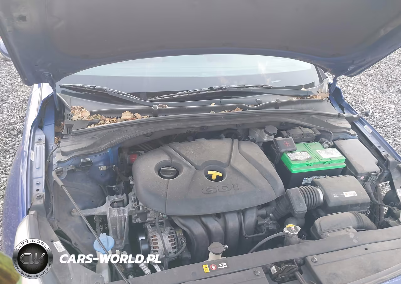 2019 Hyundai Elantra Gt VIN:KMHH35LE8KU088172 - 10