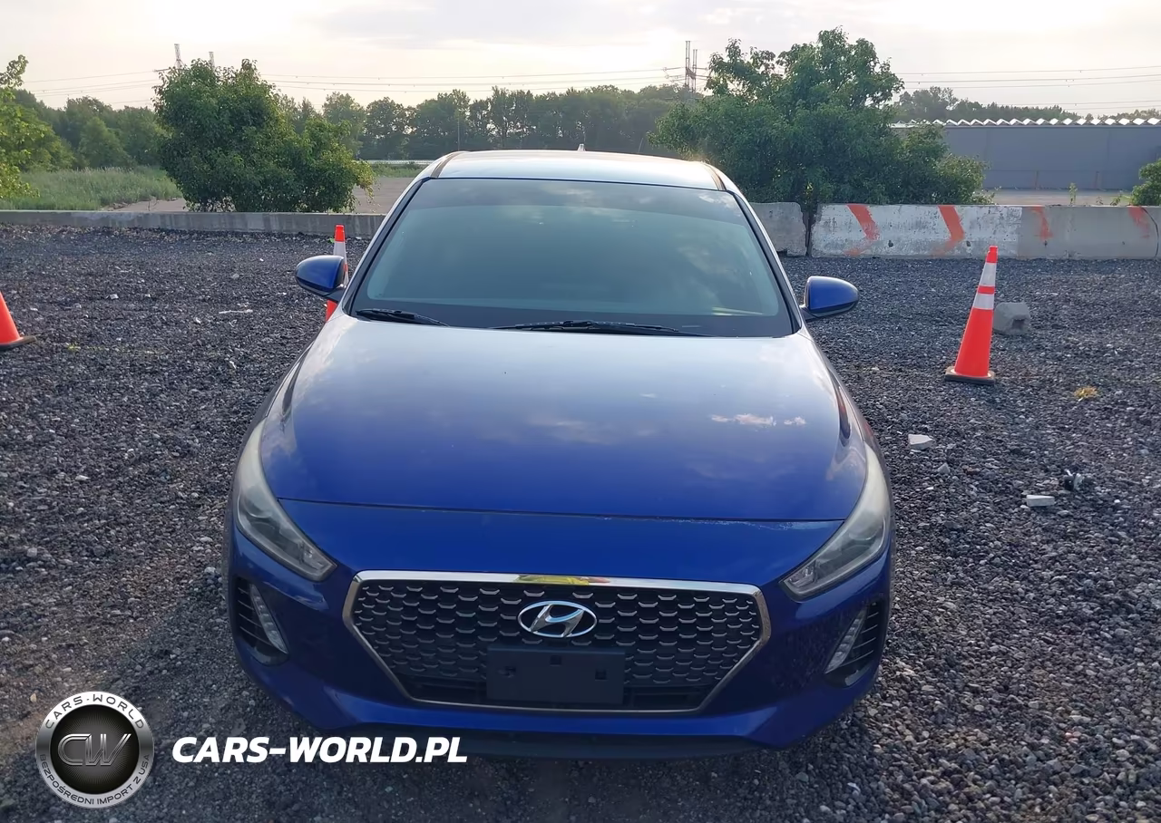 2019 Hyundai Elantra Gt VIN:KMHH35LE8KU088172 - 12