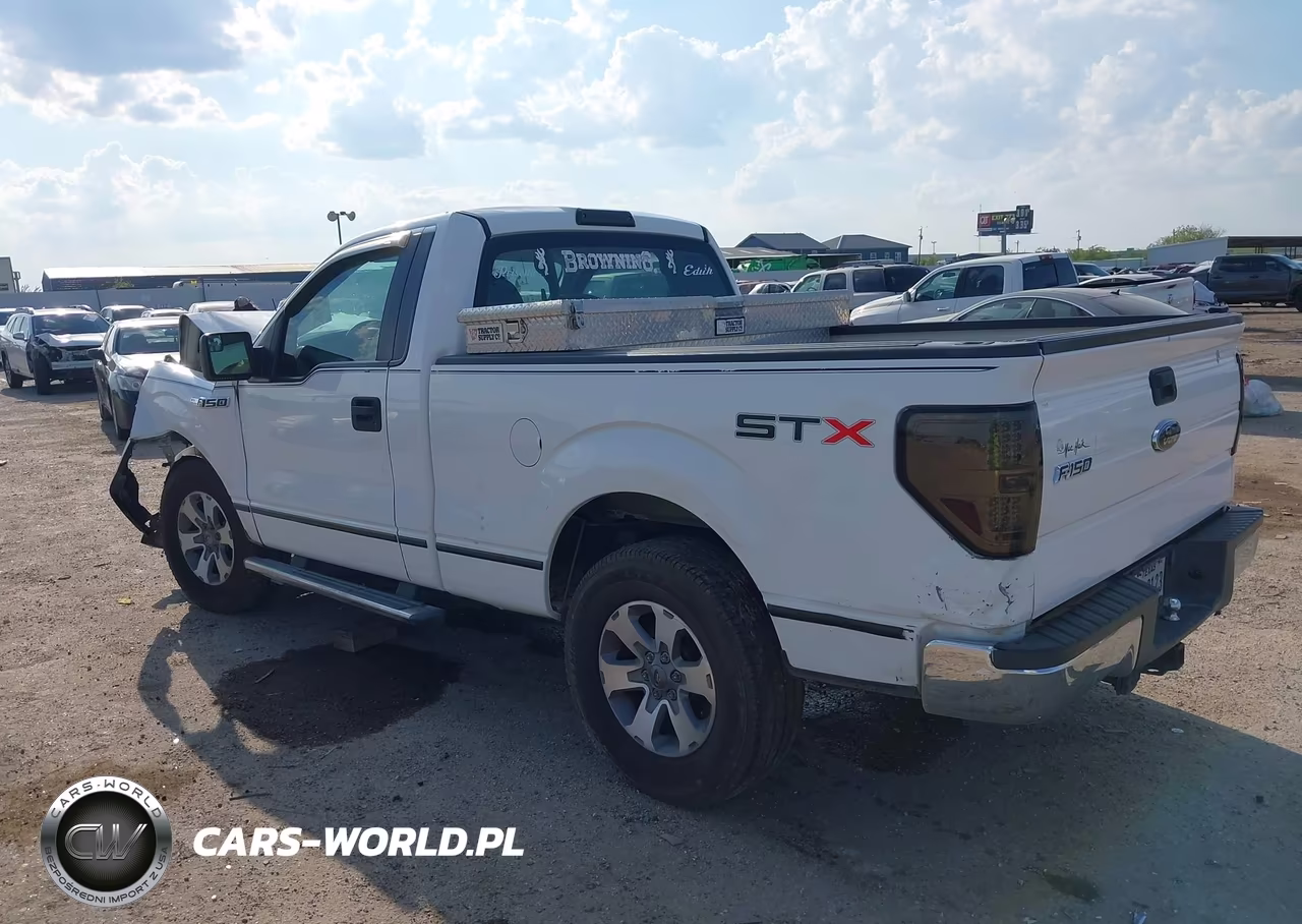 2009 Ford F-150 Stx-Xl-Xlt VIN:1FTRF12W29KC93091 - 3