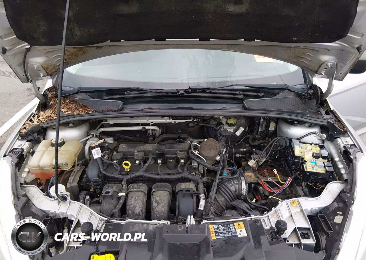 2015 Ford Focus S VIN:1FADP3E22FL264262 - 10