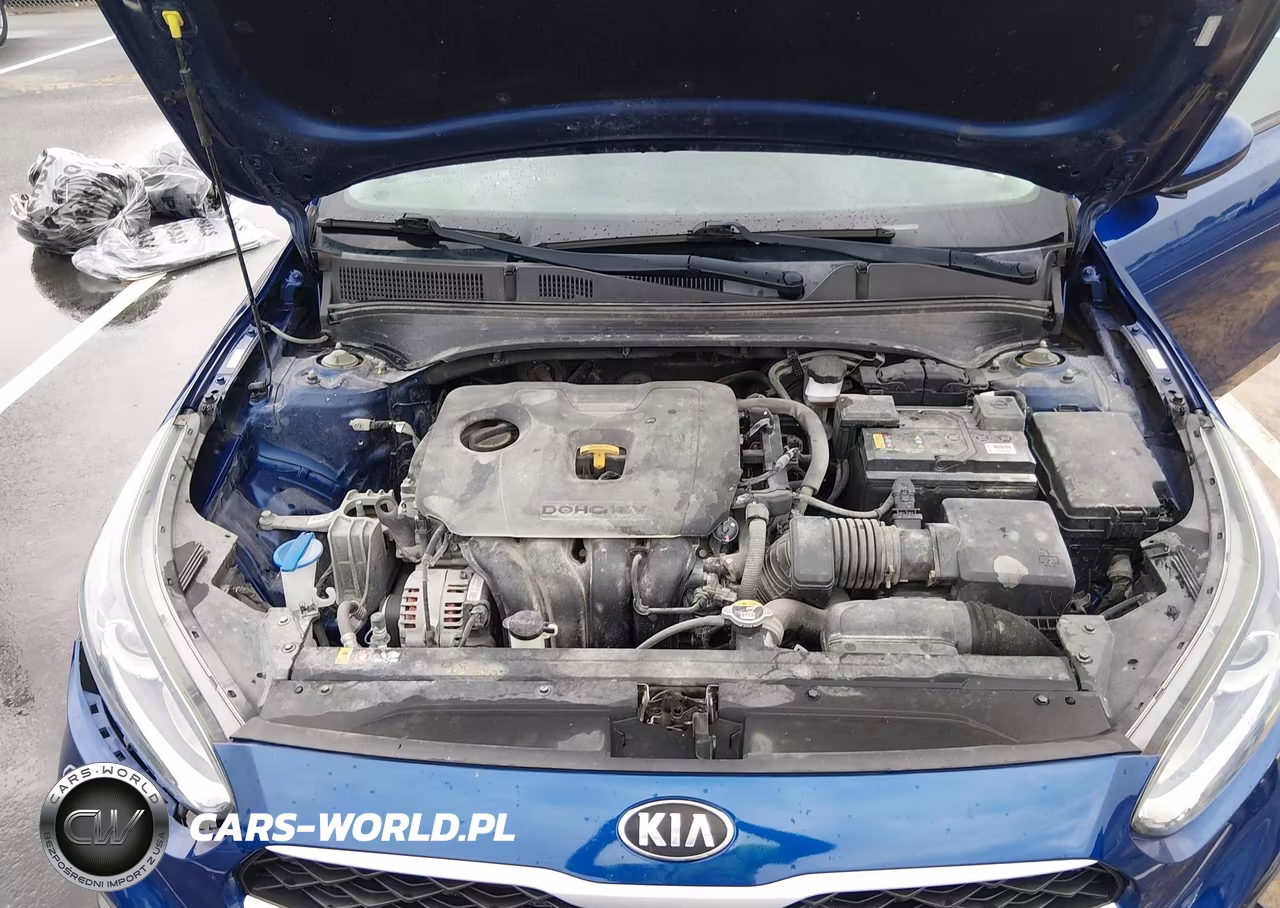 2019 Kia Forte Lxs VIN:3KPF24ADXKE092161 - 10