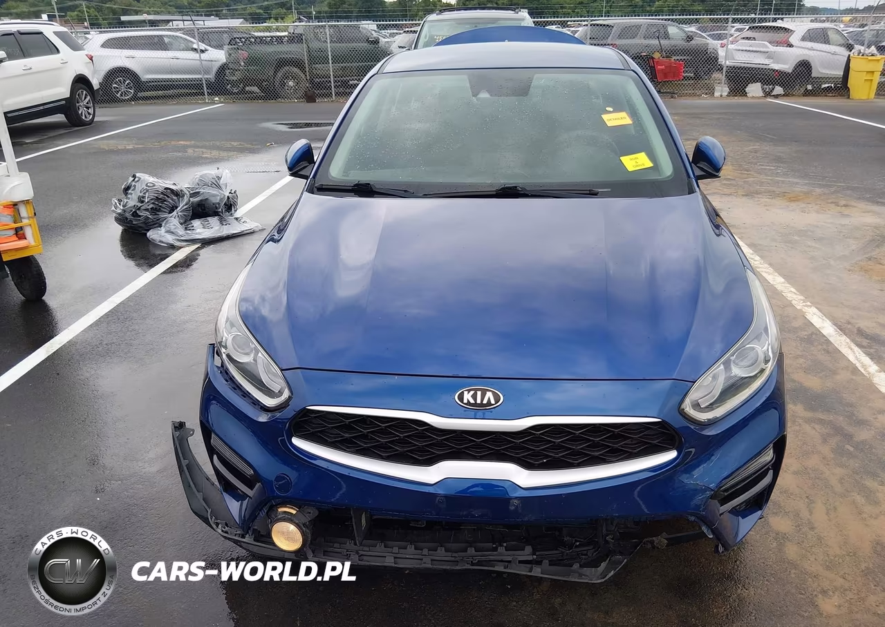 2019 Kia Forte Lxs VIN:3KPF24ADXKE092161 - 12