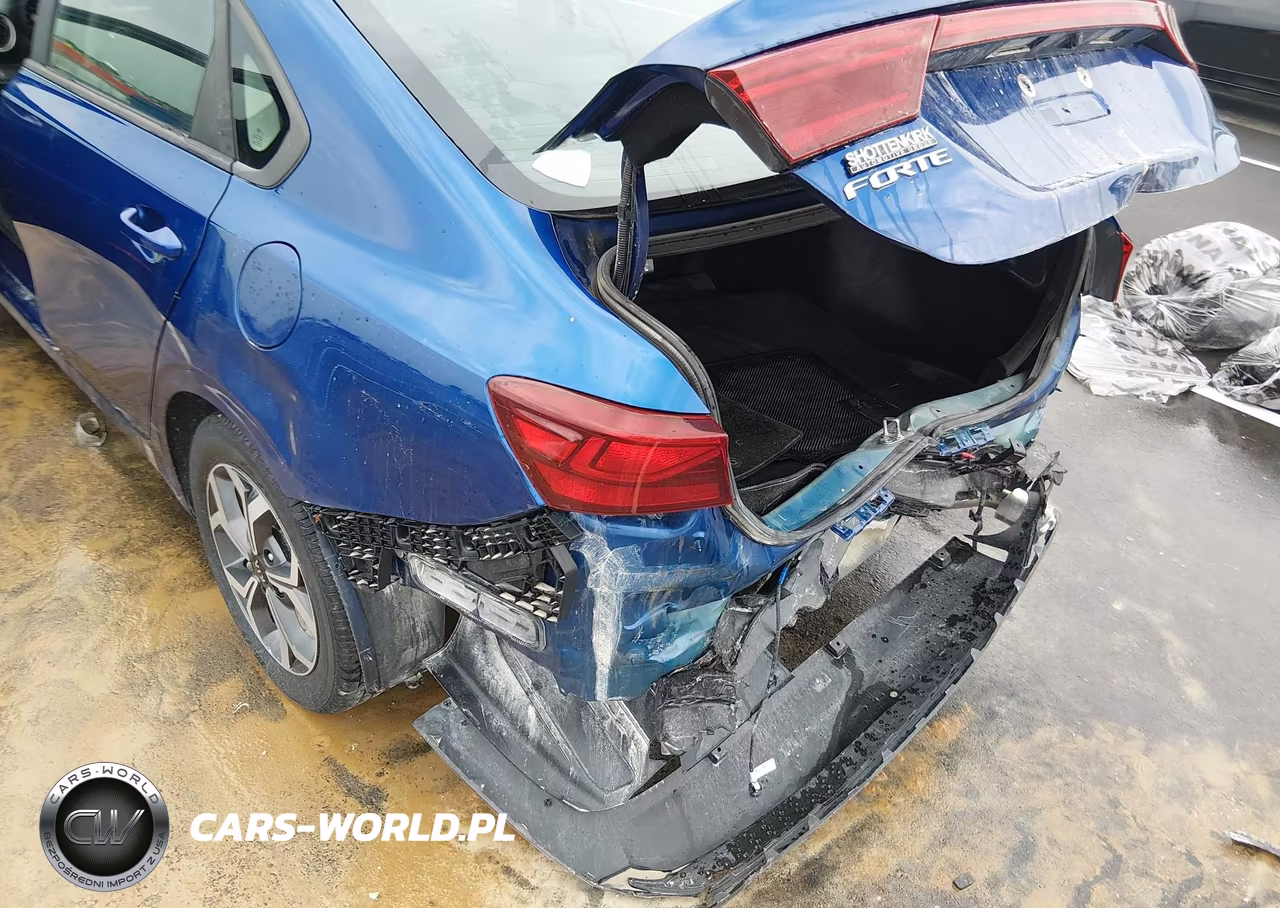 2019 Kia Forte Lxs VIN:3KPF24ADXKE092161 - 18