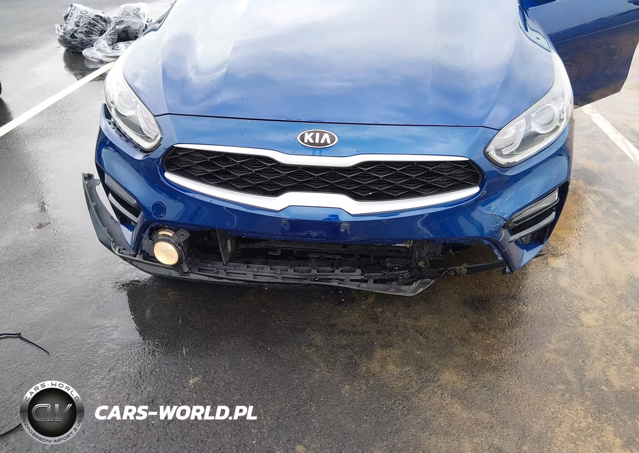 2019 Kia Forte Lxs VIN:3KPF24ADXKE092161 - 19