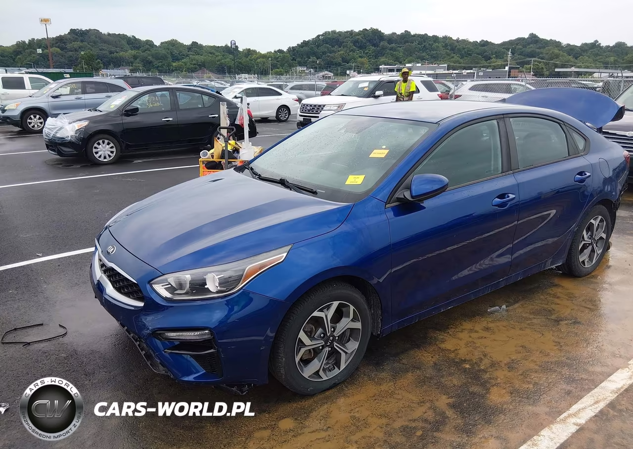 2019 Kia Forte Lxs VIN:3KPF24ADXKE092161 - 2